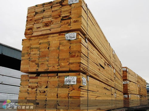 上海建材市場供應加松SPF建筑材料銷售全解析